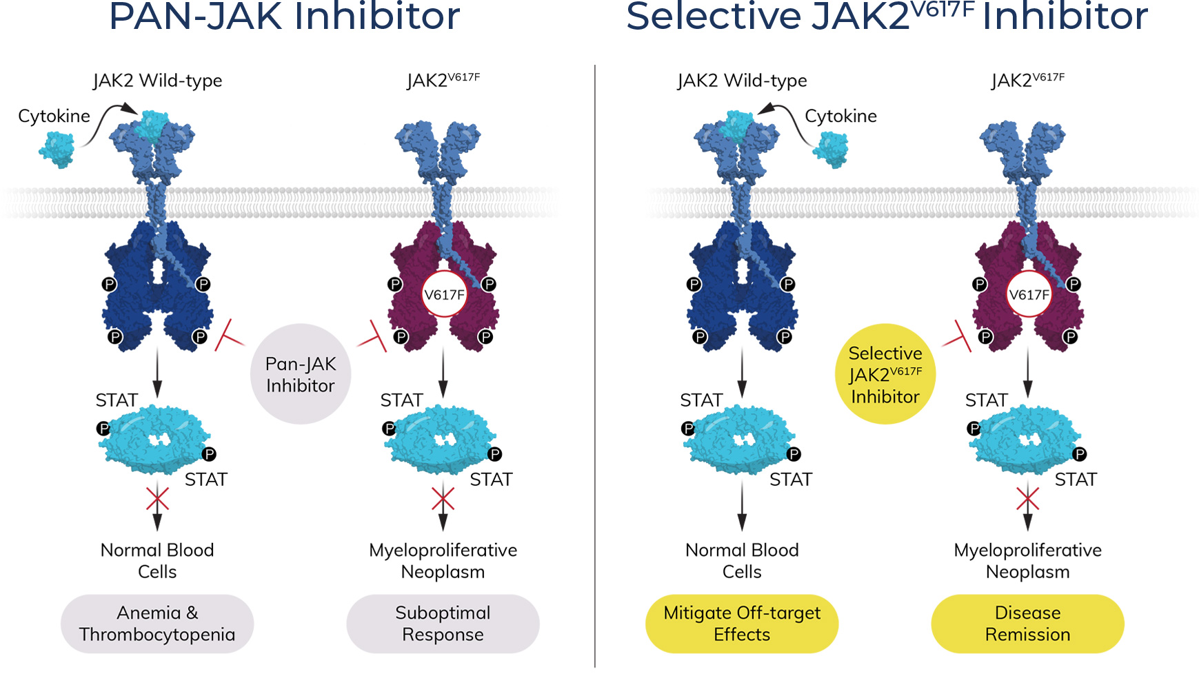 jak2_diagram in HHT diagram